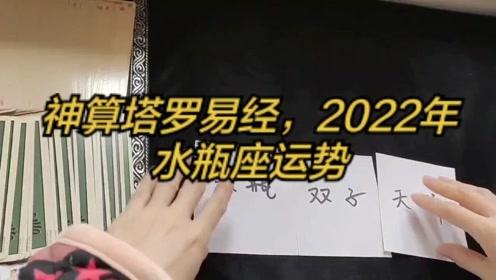 神算塔罗易经,2022年水瓶座运势