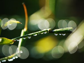 雨之语——解析雨的丰富词语表达，雨的词语怎么说你说你