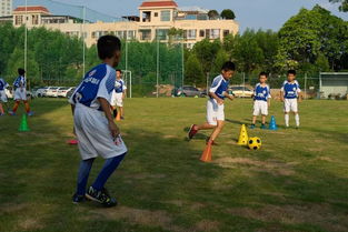 内含福利 为了好好地看场世界杯,家长都把孩子送来这里... 