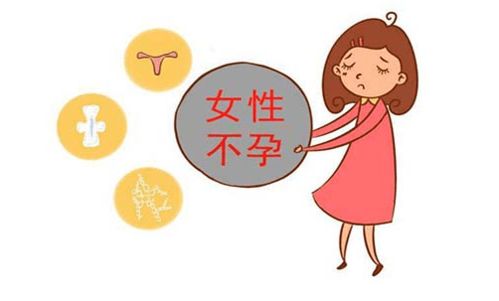 引起女性不孕的主要因素