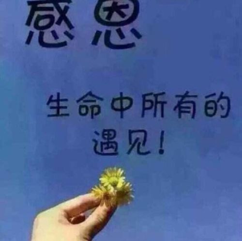 倾心相待解释词语  坠入爱河的歌词？