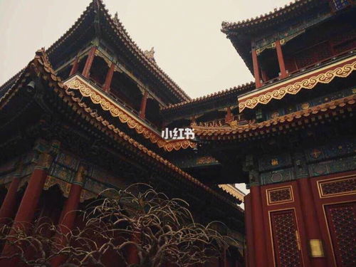 北京旅行 据说是帝都最灵验的烧香拜拜之地 雍和宫