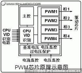 主板市场，创业板市场，新板市场分别适用于什么类型的上市公司