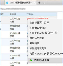 idm怎么扩展到win10