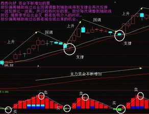 请教用什么软件能选出2-20天前曾经连续涨停的股票