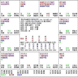 紫微斗数请大师帮忙 