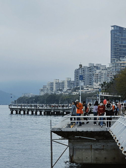 深圳盐田 海滨公园真的太美了 有花有海 