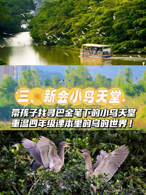 江门必去的十大景区,你带孩子去过几个 