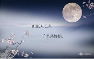 关于中秋描写月亮的诗句古诗