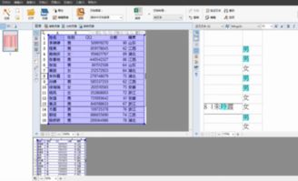 什么软件可以将图片转成EXCEL,转换后可以编辑的那种 