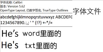 怎么点通那个T字的标点。？