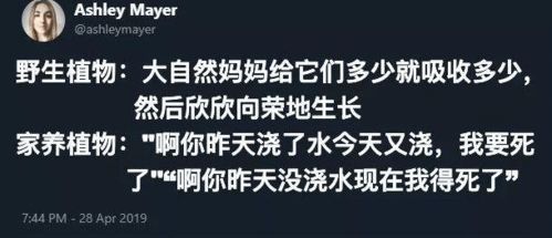 你听过看过最搞笑的笑话和图片是什么呢