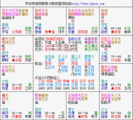 求专家帮忙看看这个紫薇斗数排盘 