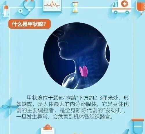 关于甲状腺你了解多少 一组图教会你关于甲状腺的那些 冷知识