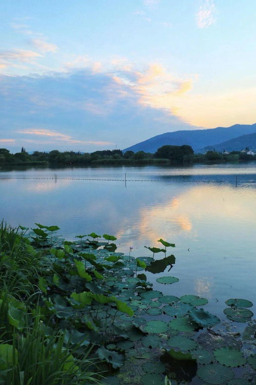 栖居长田漾 湖光山色,守望四季之美