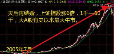 视频新闻，视频新闻在哪可以找到？我是个炒股新手，想多了解股票的相关资讯，所以想找个股票的视频新闻？