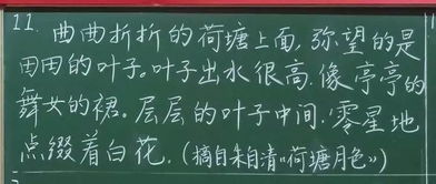 惊艳 看了这些清华老师的板书,谁还舍得擦黑板 