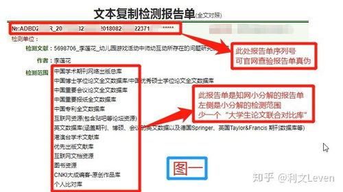 知网查重小分解真的准确吗？一文解析