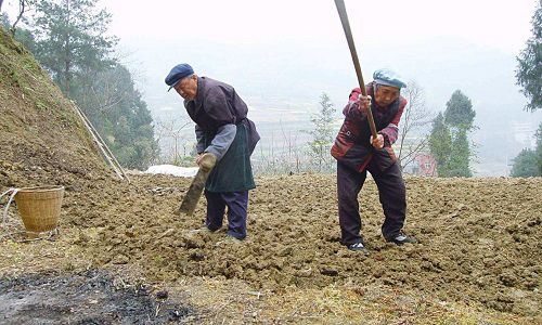 农村不见年轻人的踪迹,种地的都是60岁以上的老人,以后吃什么