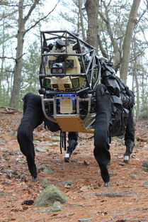 美军方演示机器狗 可携181公斤重物行进32公里 