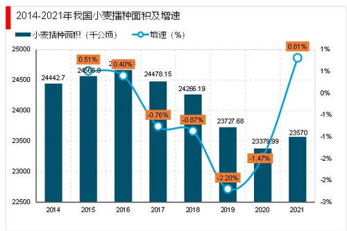 比特币未来趋势分析,2023年BitTok交易所近况