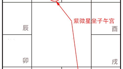 占星基础知识 星座和宫位 