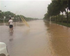 南京强降雨致路面积水 城管大街上张网捕鱼 