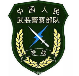 武警部队统一更换新式标志服饰 共2款9类