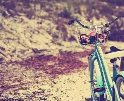 感悟生活超精辟的心情短语：人生,就像骑自行车,想保持平衡就得往(骑自行车的心情句子)