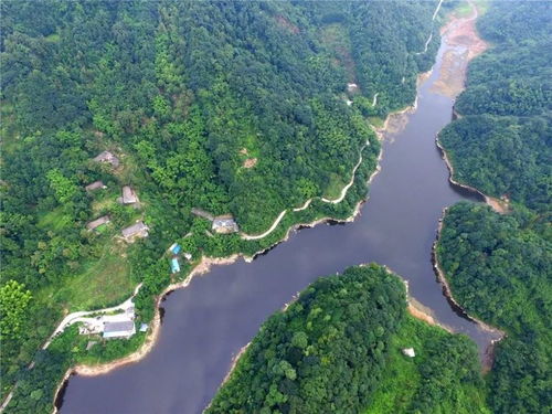 四川又一避暑地走红,适合野餐遛娃,不收门票,距成都1小时车程