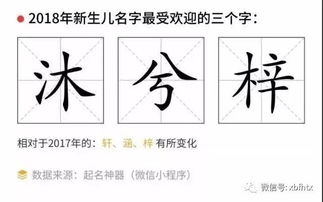 为什么这个字成了2018给孩取名的 迷之推崇