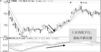 年利率16%高吗