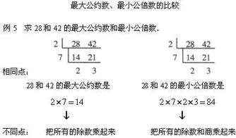 最大公约数 搜狗图片搜索