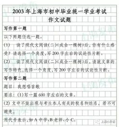 我的视线作文600字叙事文