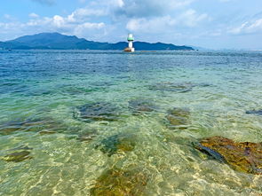 广东无人海岛露营,尽情捕鱼赶海,海鲜吃不完,户外秋游首选