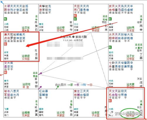 紫微斗数案例 比赌博 毒品更可怕的网贷 你的命盘中有这些条件吗