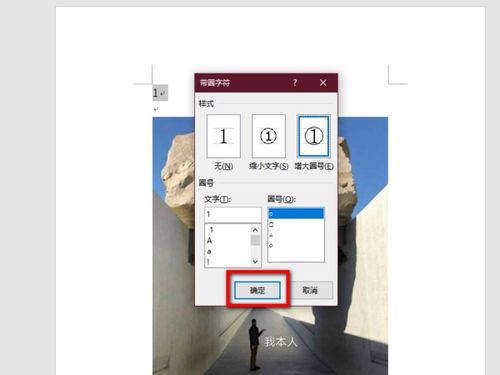 怎么在word里的图片上插入带圈的字母做标记 