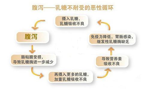 你知道吗 70 婴儿腹泻与乳糖不耐受有关,你却在给孩子傻傻吃药