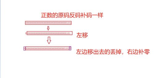 玩转操作符 操作符的那些东西