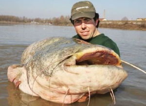 厨师捕到英国最大淡水鱼 令人瞠目结舌的河中巨兽 