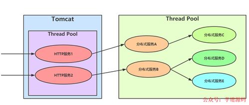 简单有效降低查重率：实用方法与技巧