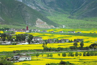 西藏拉萨墨竹工卡甲玛乡天气预报