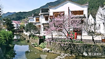 赞 浦江这一年有200多个美丽乡村完成建设,农村都有了大变化 