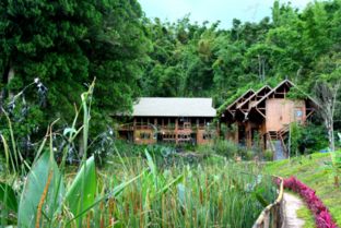 天士力帝泊洱生物茶谷入选中国十大工业旅游示范基地 