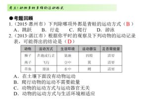 powerpoint的知识考点