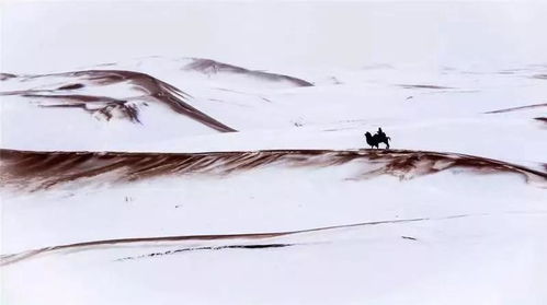 关于内蒙古沙漠的诗句