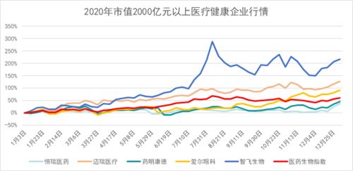 关于股票首日开盘价的问题。