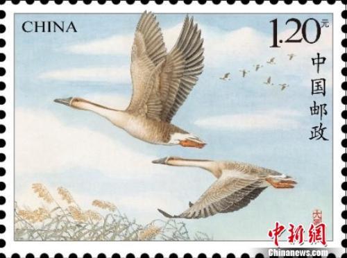 大雁 特种邮票在雁城湖南衡阳首发