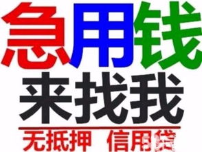 中山市小额贷款公司有哪些？