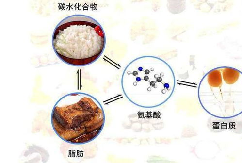 低质量碳水,危害比脂肪还大 提醒 这些食物,再爱吃也要管住嘴